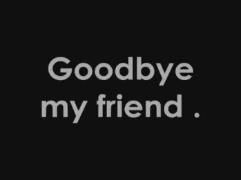 James Blunt - Goodbye My Lover With Lyrics