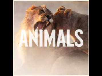 Maroon 5 - Animals (Radio Edit)